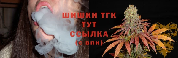 шишки Алзамай